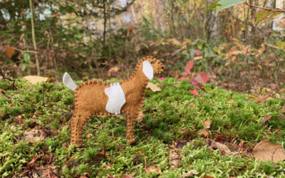 Gregarious Nubian Goat