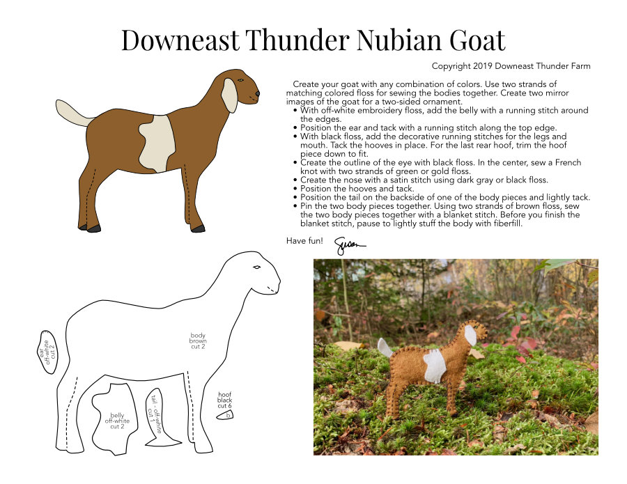 Nubian Goat