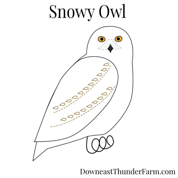 Snowy Owl Book