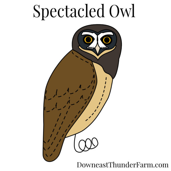 Spectacled Owl Book
