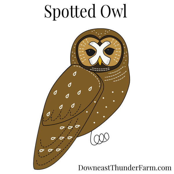 Spotted Owl Book