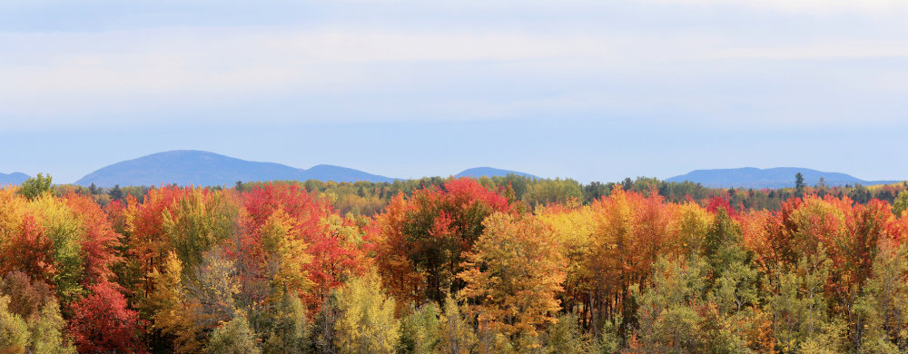 Cadiallac Mountain in the Autumn