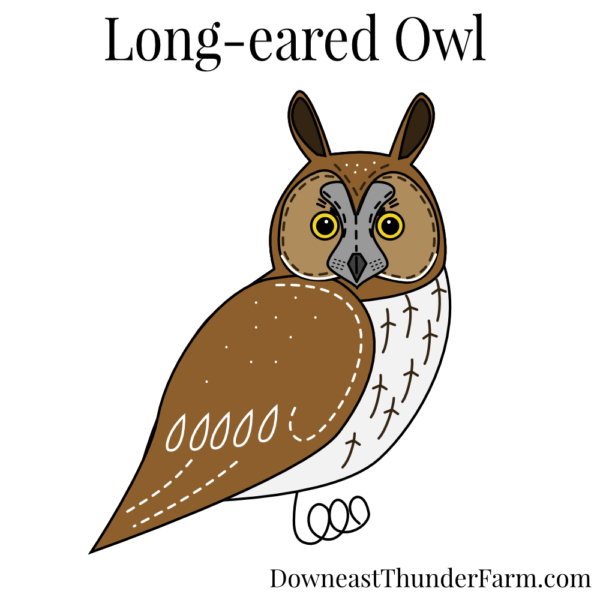 Long-eared Owl Felt Pattern Kit