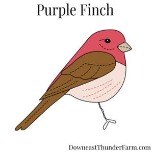 Purple Finch Felt Pattern Kit