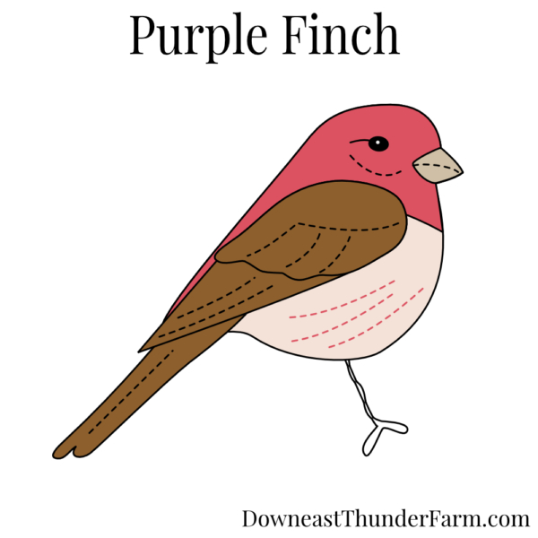 Purple Finch Felt Pattern Kit