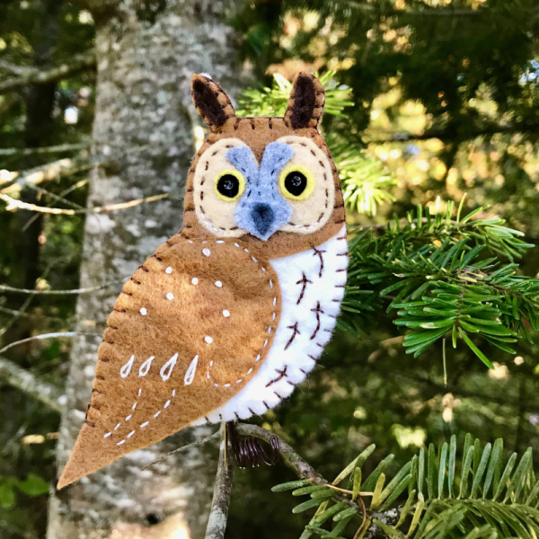 Long-eared Owl Kit - Image 2