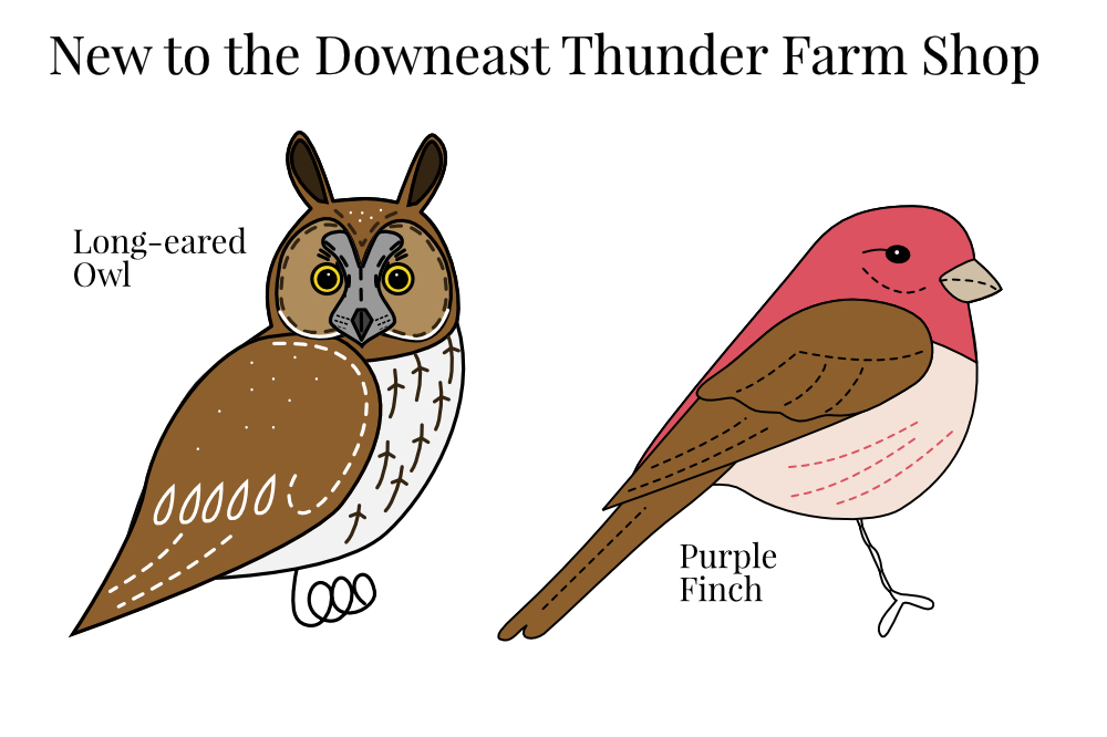 New to the Shop: Purple Finch and Long-eared Owl