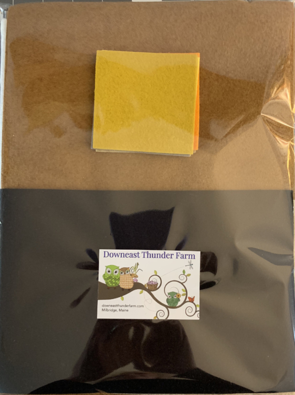 Owl Book Companion Felt Pack
