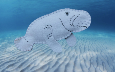 The Gentle Manatee