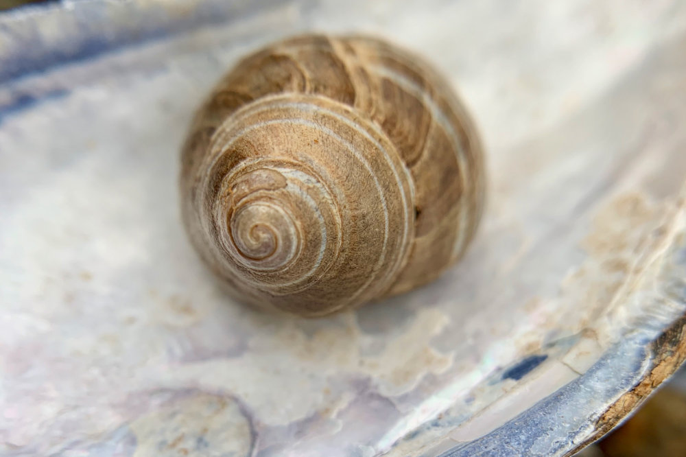 Winter Beachcombing