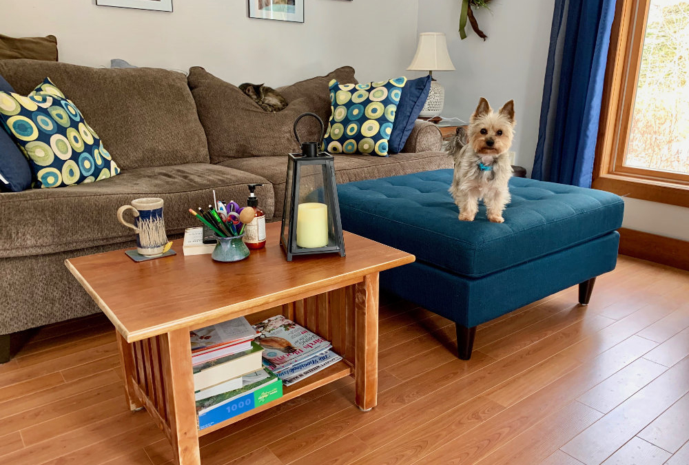 Our Re-modeled Discount Coffee Table