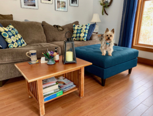 repurposed coffee table