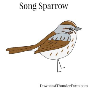 Song Sparrow Felt Kit