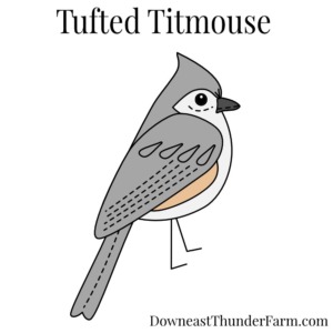 Tufted Titmouse Kit