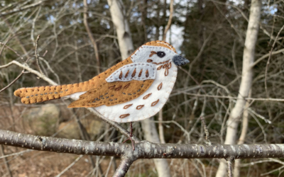 The Shy Song Sparrow