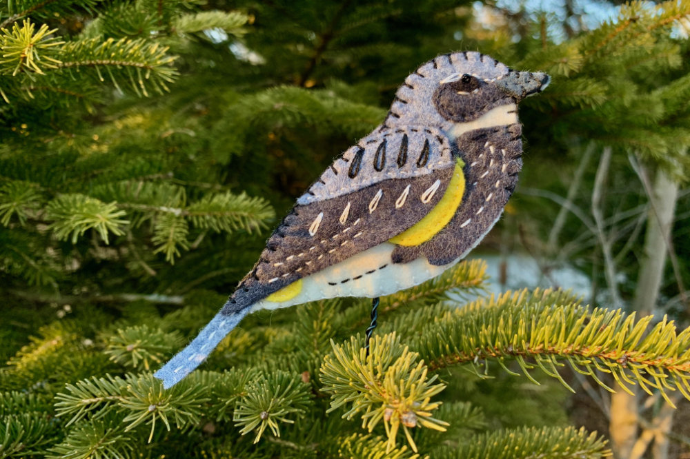 The Lively Yellow-rumped Warbler