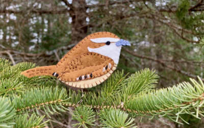 The Cute Carolina Wren