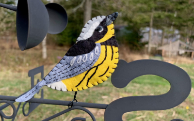 The Marvelous Magnolia Warbler