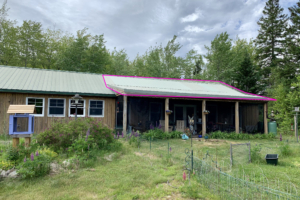 steel roof runs off into rain barrel