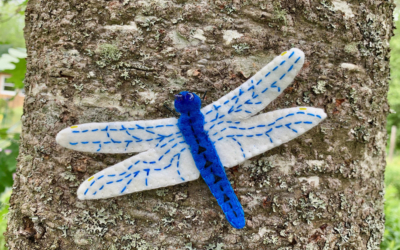 The Dazzling Dragonfly