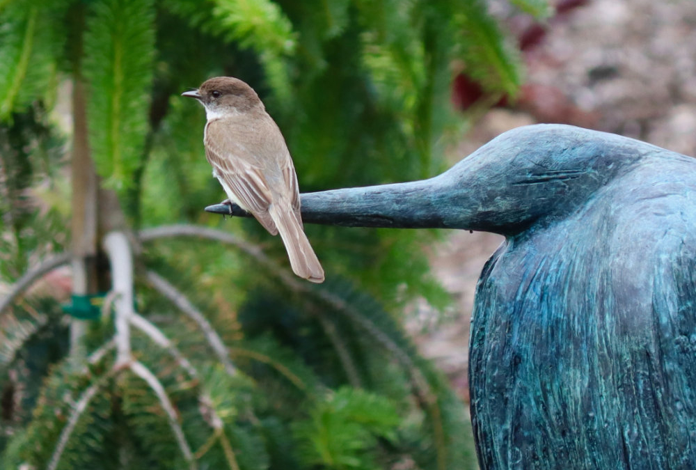 Art in the Gardens