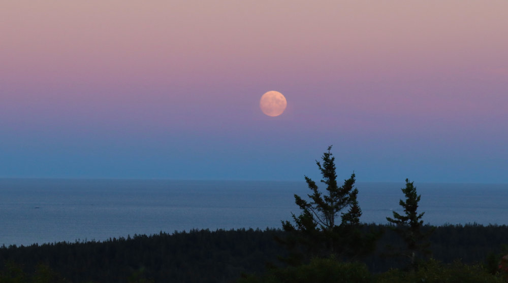 Full Moon Pigeon Hill Hike