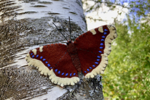 felt mourning cloak butterfly