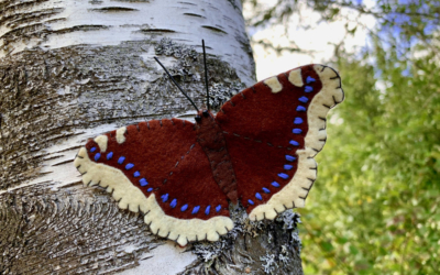 The Maine Mourning Cloak