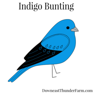 Indigo Bunting