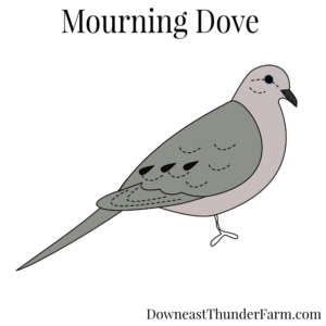 Mourning Dove Felt Pattern Kit