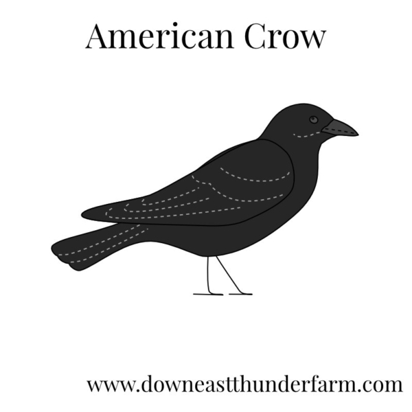 Downeast Thunder Farm Backyard Birds I: Felt Ornament Designs - Image 2