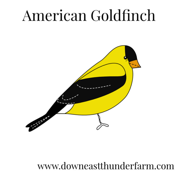 Downeast Thunder Farm Backyard Birds I: Felt Ornament Designs - Image 3