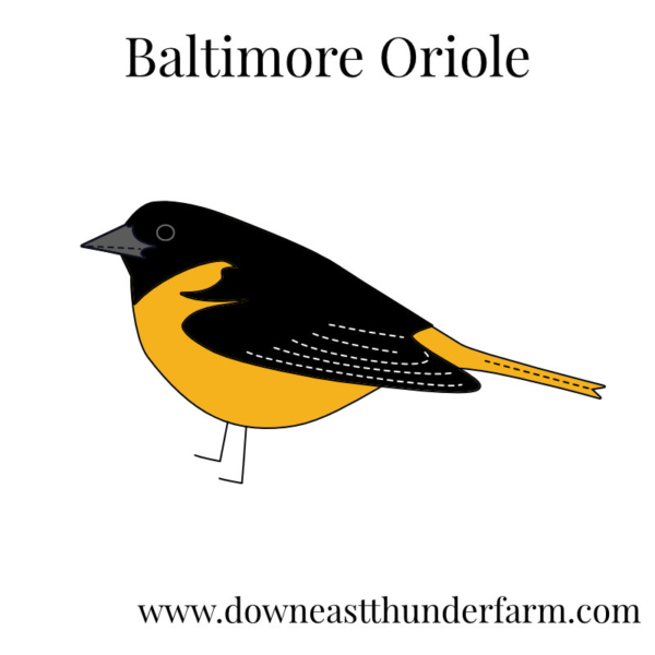 Downeast Thunder Farm Backyard Birds I: Felt Ornament Designs - Image 4