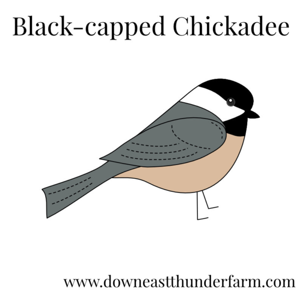 Downeast Thunder Farm Backyard Birds I: Felt Ornament Designs ...