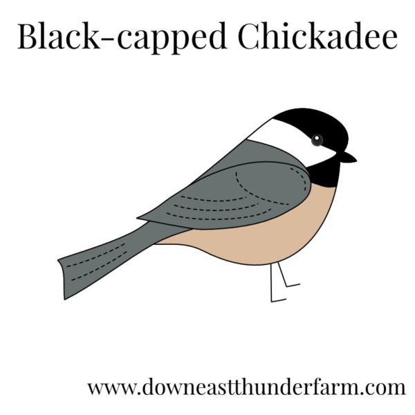 Downeast Thunder Farm Backyard Birds I: Felt Ornament Designs - Image 5