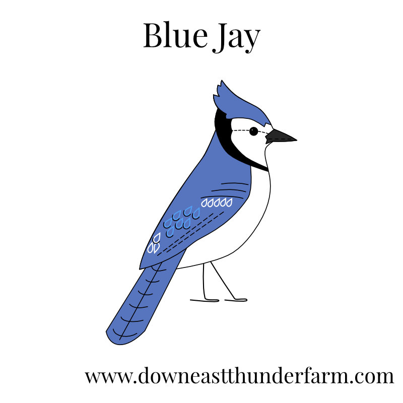 Downeast Thunder Farm Backyard Birds I: Felt Ornament Designs ...
