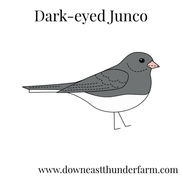 Downeast Thunder Farm Backyard Birds I: Felt Ornament Designs - Image 7