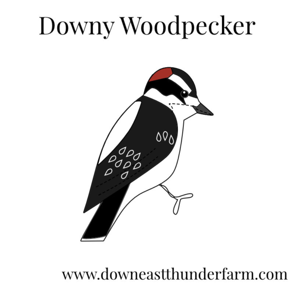Downeast Thunder Farm Backyard Birds I: Felt Ornament Designs - Image 8