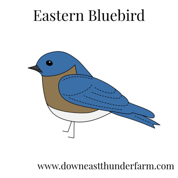 Downeast Thunder Farm Backyard Birds I: Felt Ornament Designs - Image 9