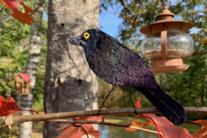 Free Common Grackle Felt Pattern