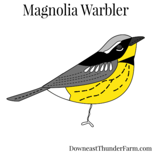 Magnolia Warbler Felt Kit