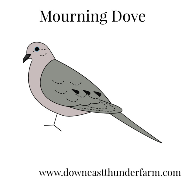 Downeast Thunder Farm Backyard Birds I: Felt Ornament Designs - Image 12