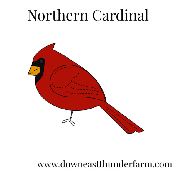 Downeast Thunder Farm Backyard Birds I: Felt Ornament Designs - Image 13