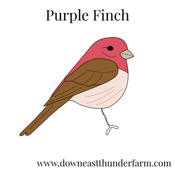 Downeast Thunder Farm Backyard Birds I: Felt Ornament Designs - Image 14