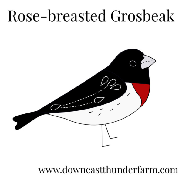 Downeast Thunder Farm Backyard Birds I: Felt Ornament Designs - Image 16