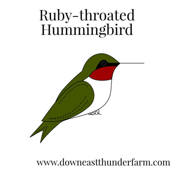 Downeast Thunder Farm Backyard Birds I: Felt Ornament Designs - Image 17