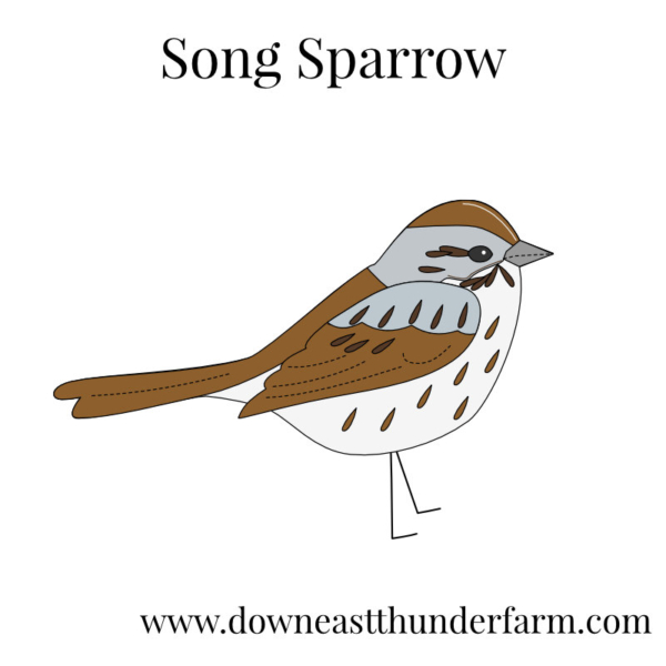 Downeast Thunder Farm Backyard Birds I: Felt Ornament Designs - Image 18