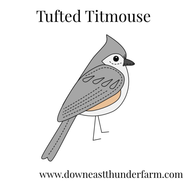 Downeast Thunder Farm Backyard Birds I: Felt Ornament Designs - Image 19