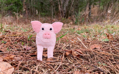 The Playful Pig
