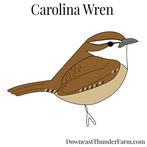 Carolina Wren Felt Kit